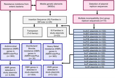 In silico analyses of diversity and dissemination of antimicrobial resistance genes and mobile genetics elements, for plasmids of enteric pathogens